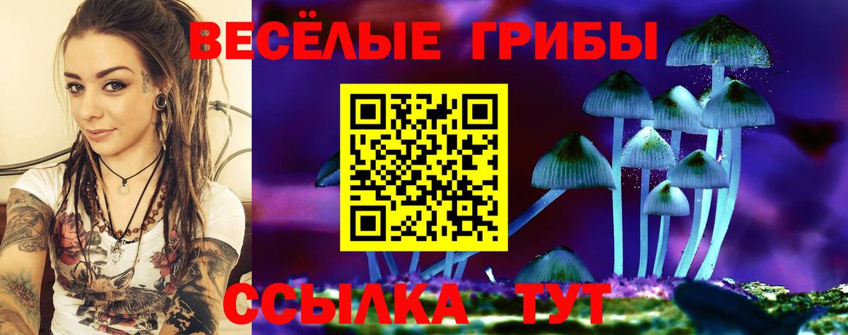 Менделеевск  Галлюциногенные грибы прущие грибы  Вход с VPN 